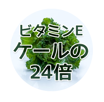 ビタミンB2は豚ひれ肉の3倍